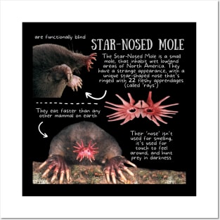 Animal Facts - Star-nosed Mole Posters and Art